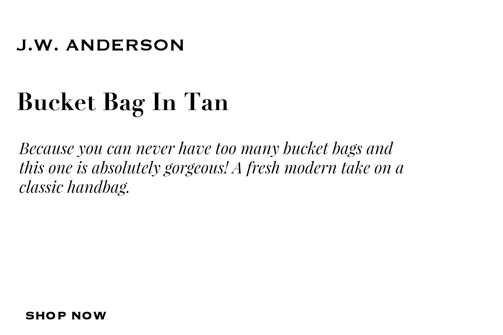 J.W. Anderson Bucket Bag